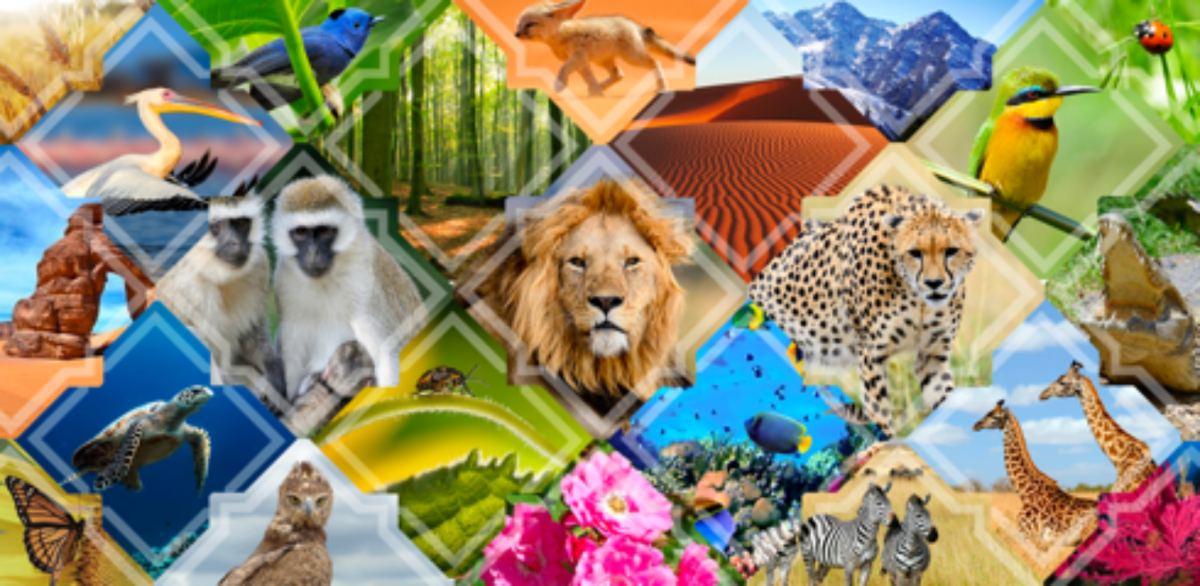 Биология царства живой природы