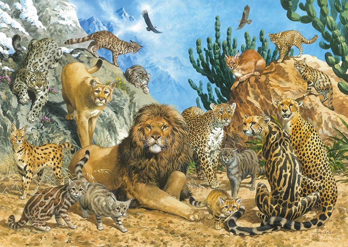 Пазлы Ravensburger Puzzle 3000