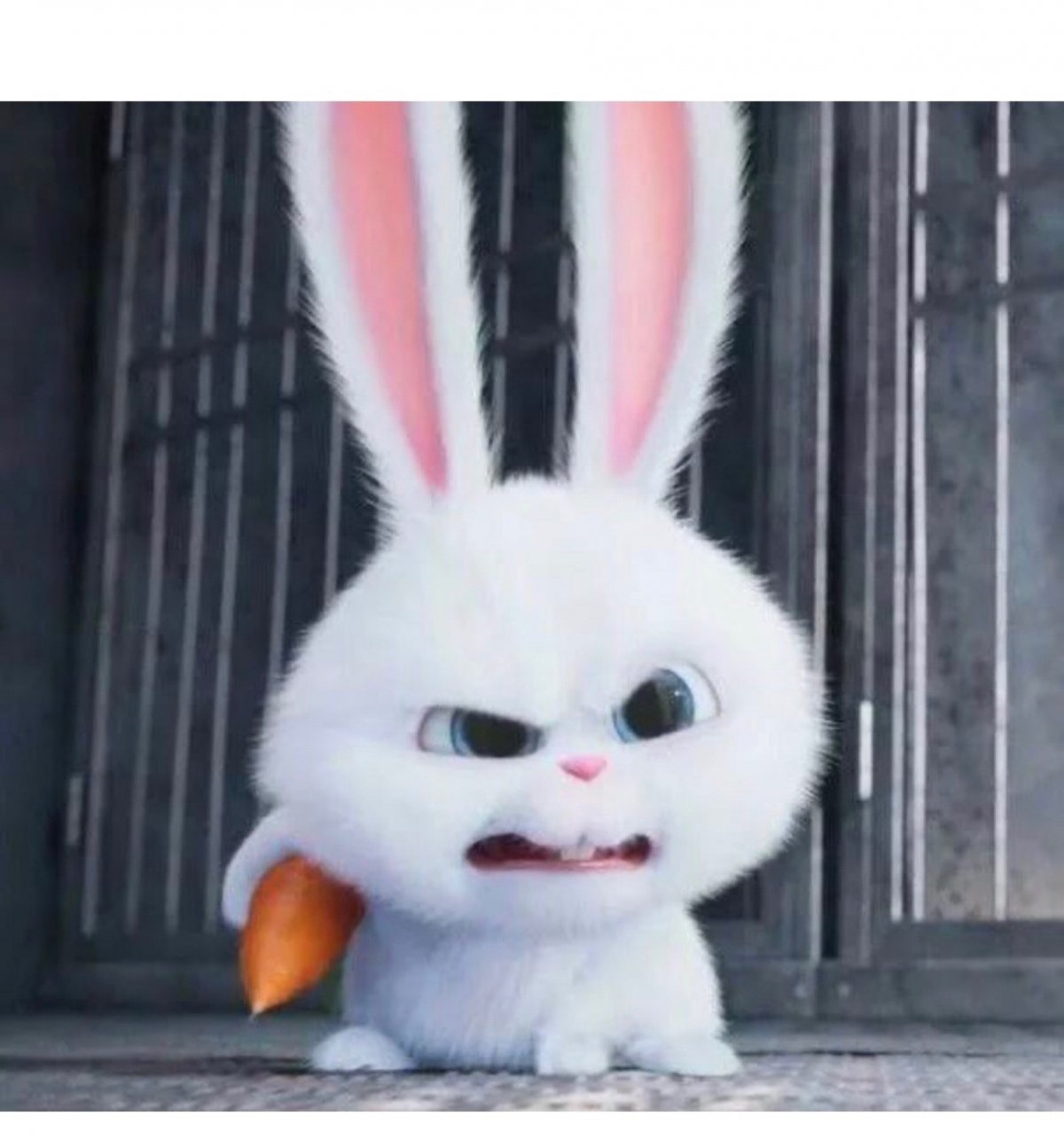 Тайная жизнь домашних животных кролик злой