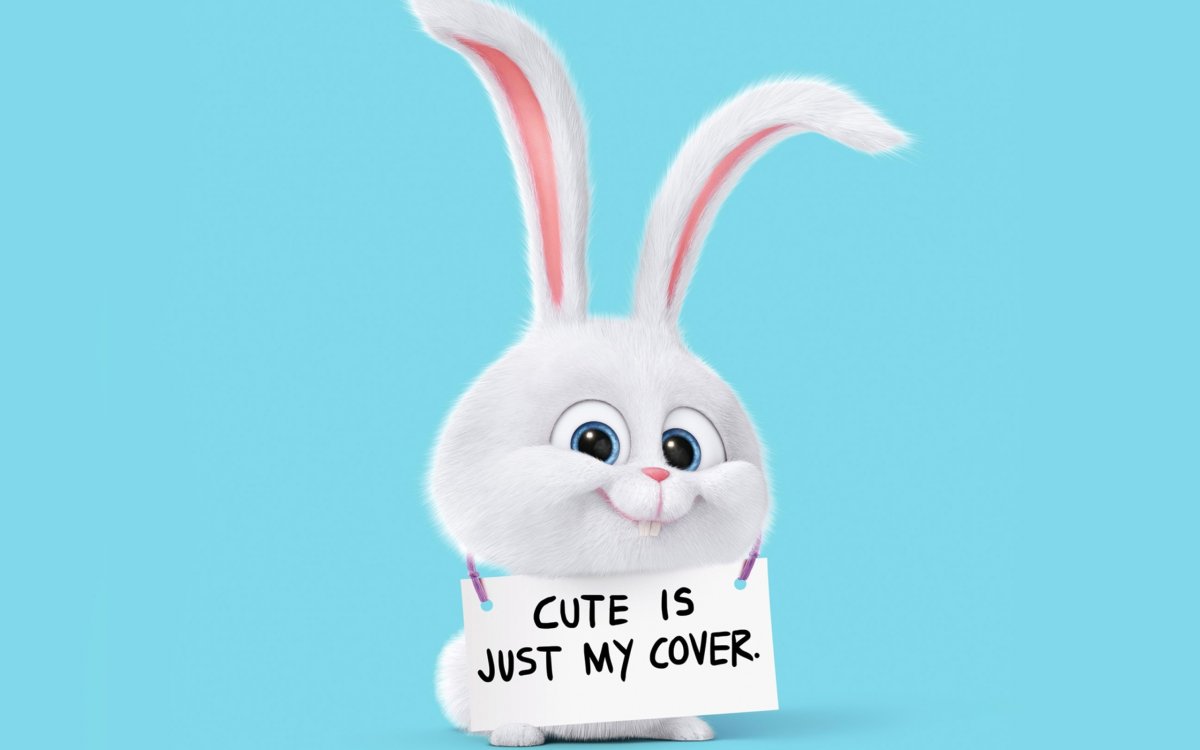 Смешной заяц