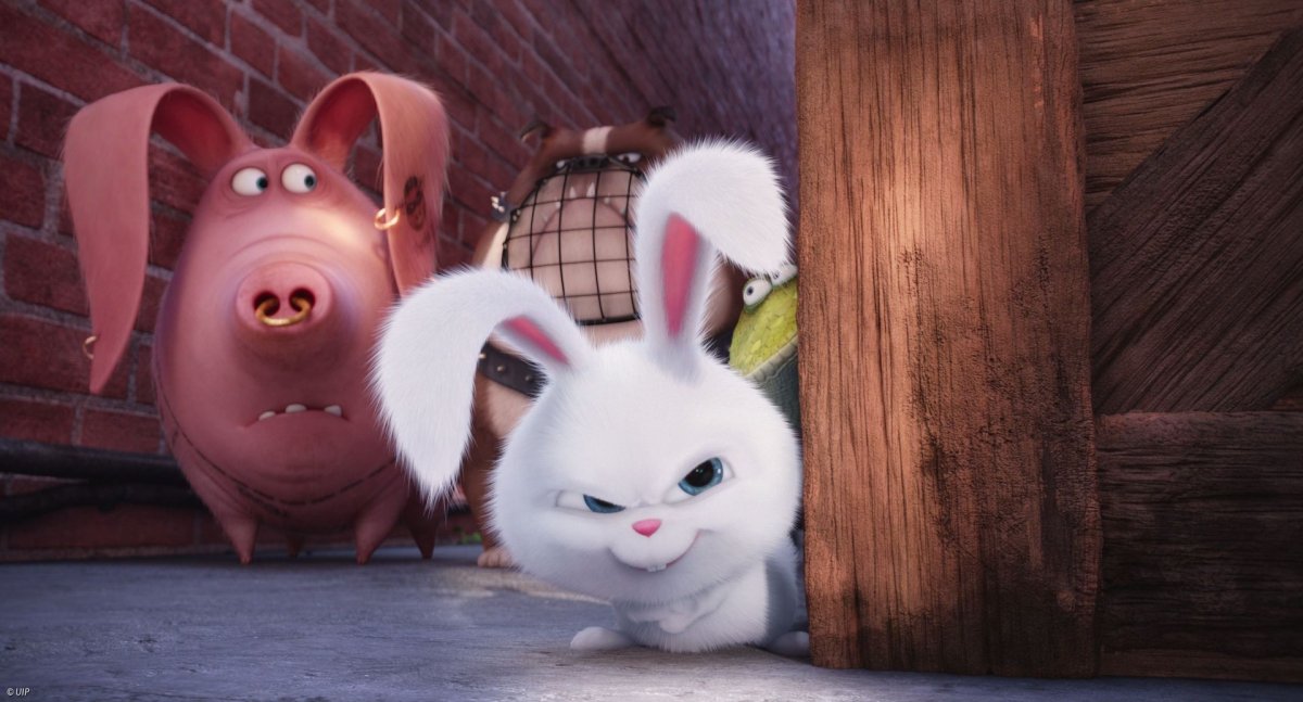 Тайная жизнь домашних животных заяц