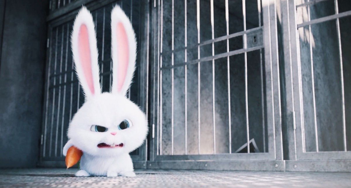 Кролик Эстетика