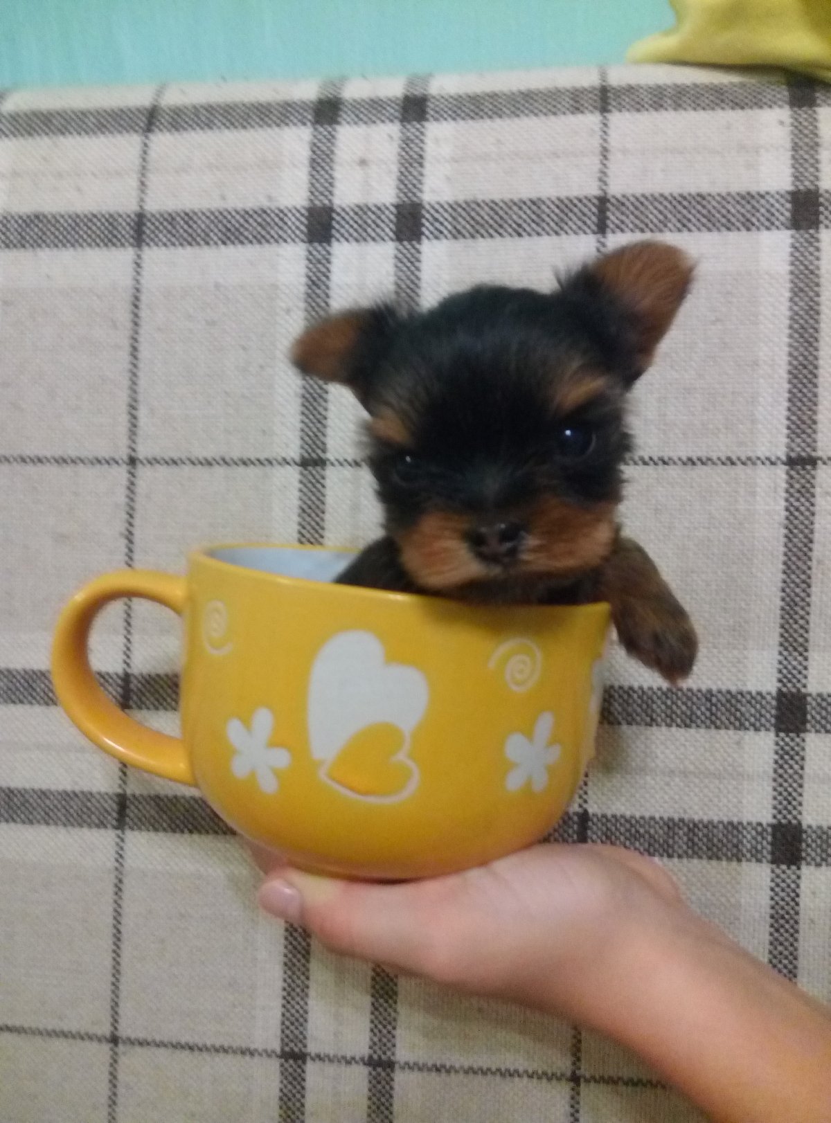 Мини тойчики карманные