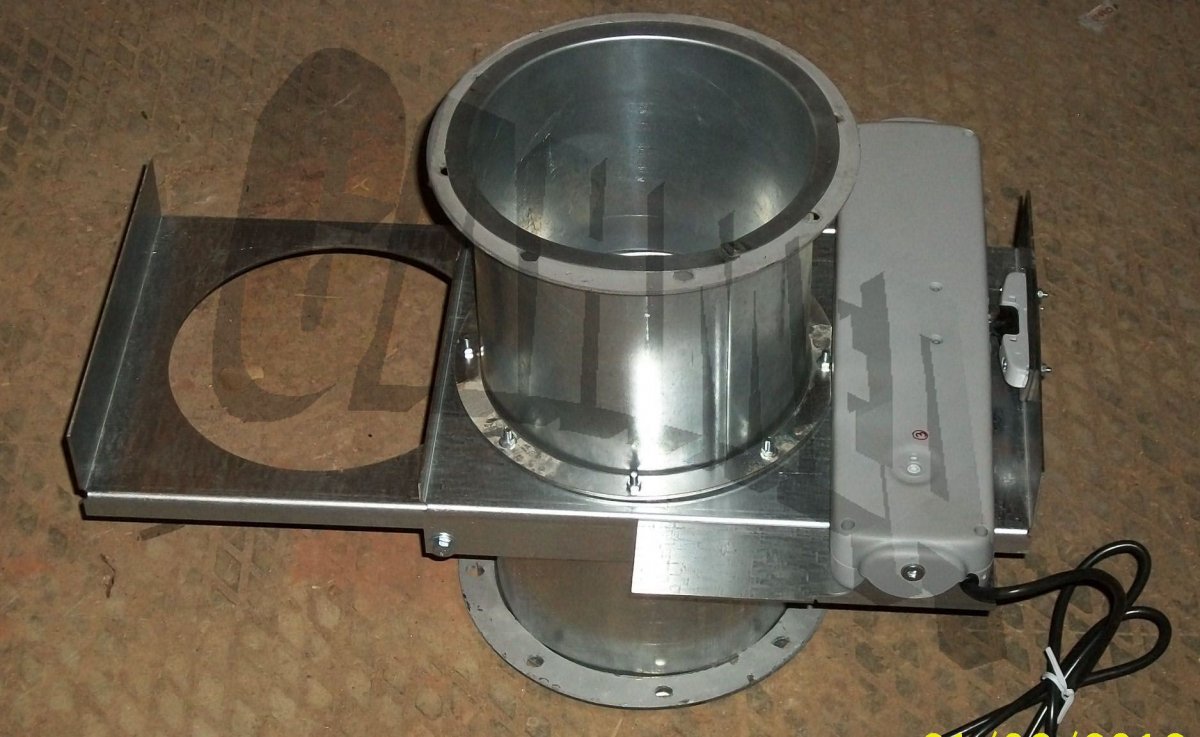 Русский черный терьер