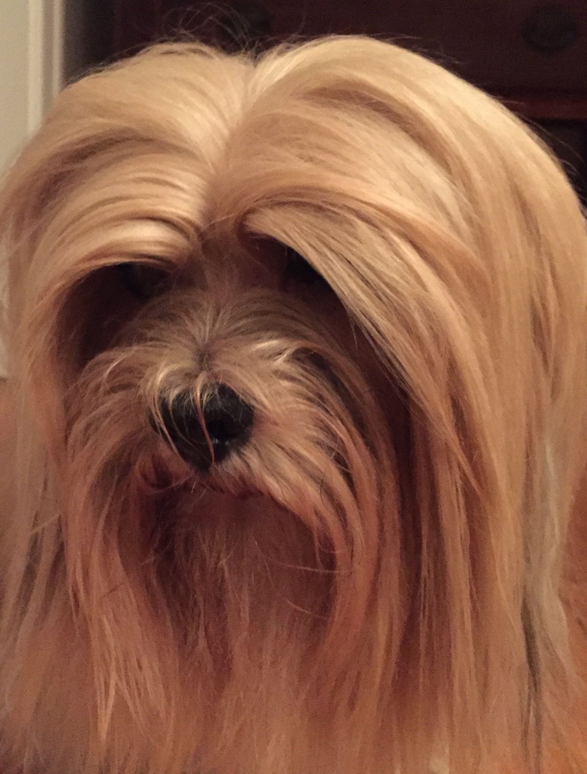 Шибер 115 мм для дымохода