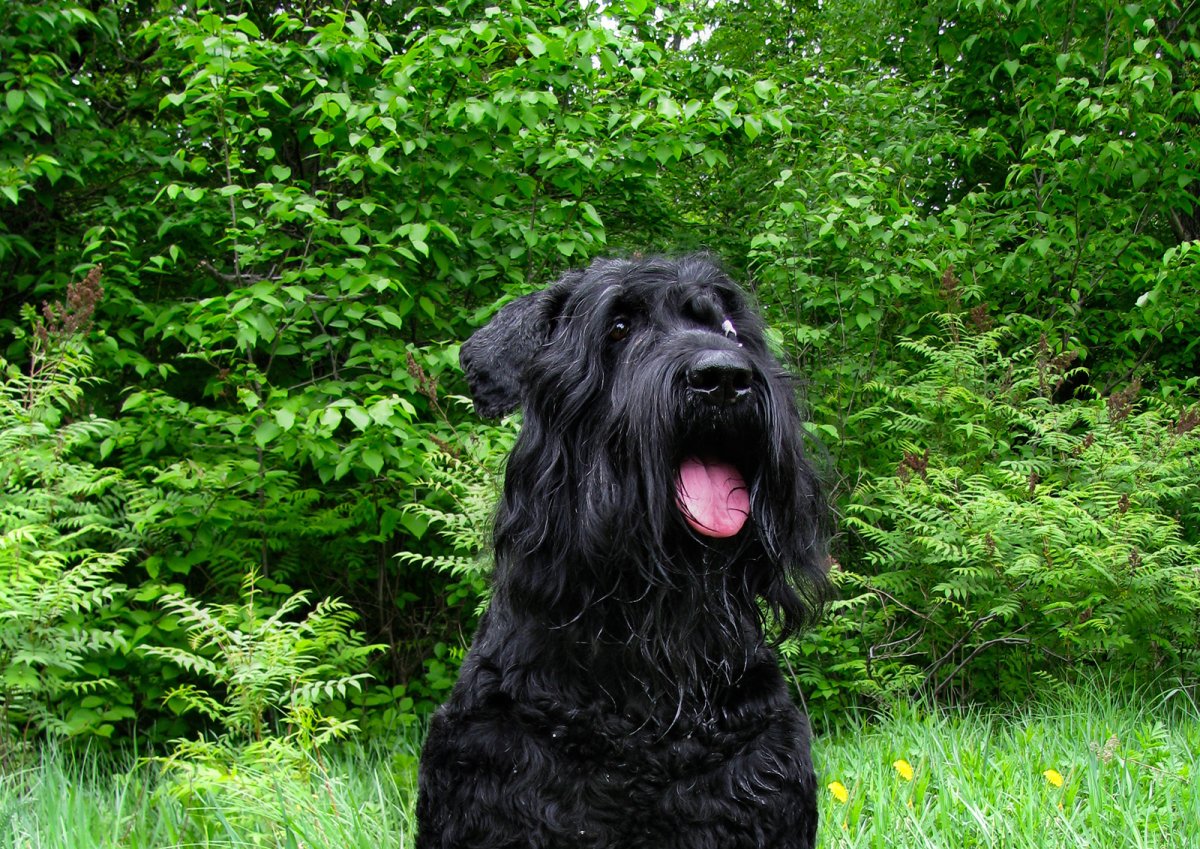 Патрубок шибера ПШ.31.000