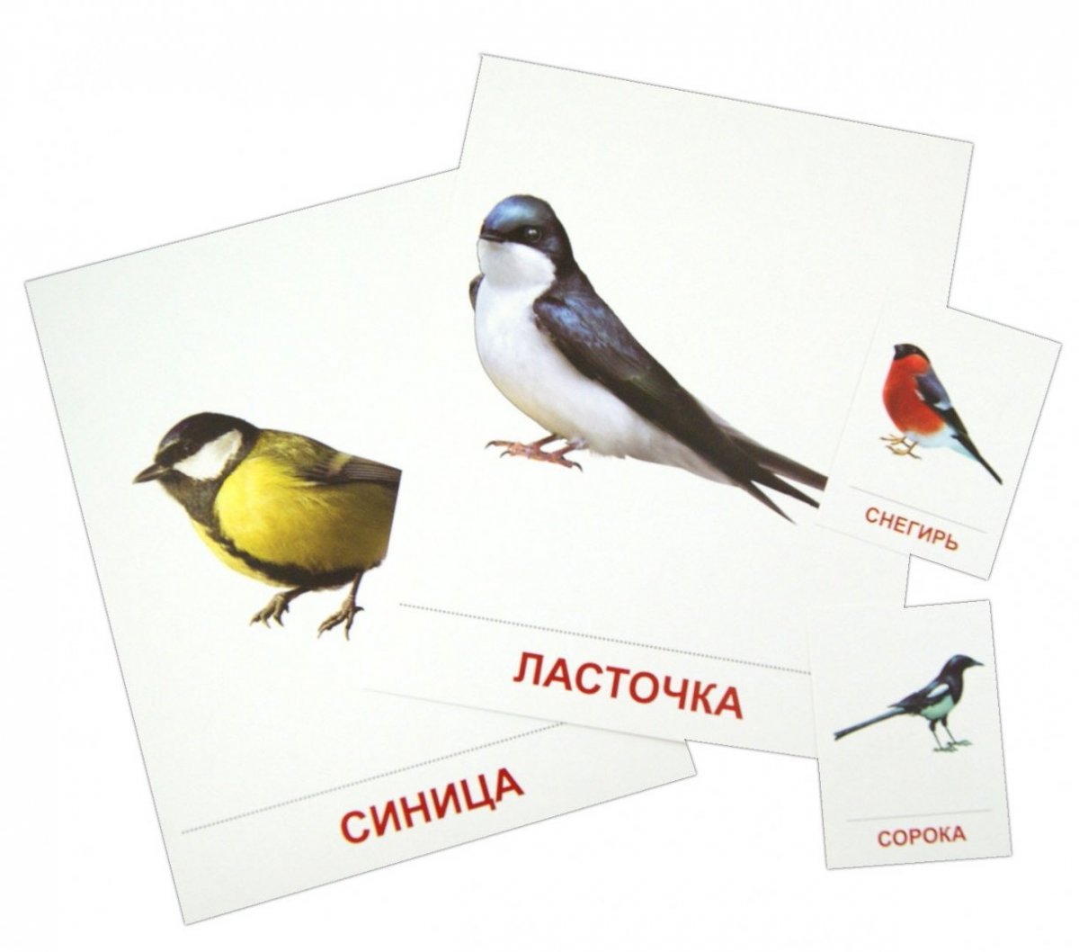 Весенние перелетные птицы