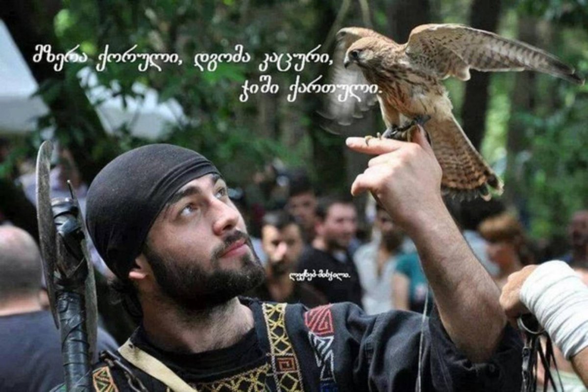 Орёл-ягнятник Бородач