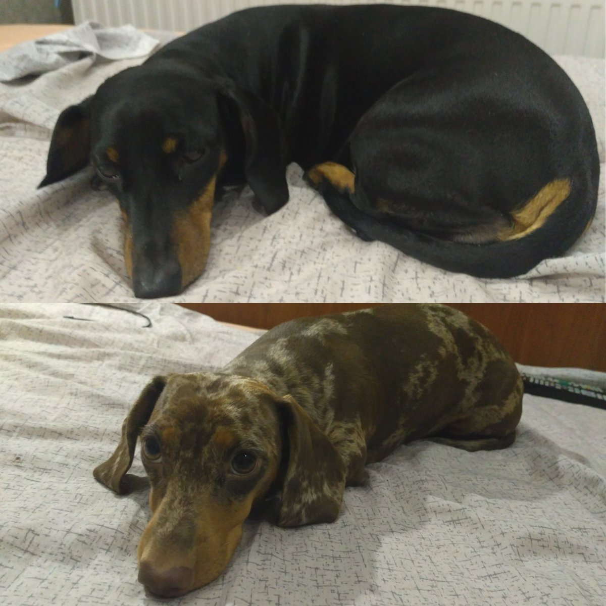 Талибан мужчины в платьях талибы одежда