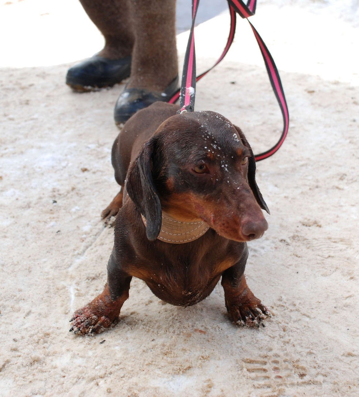 Природа мстит