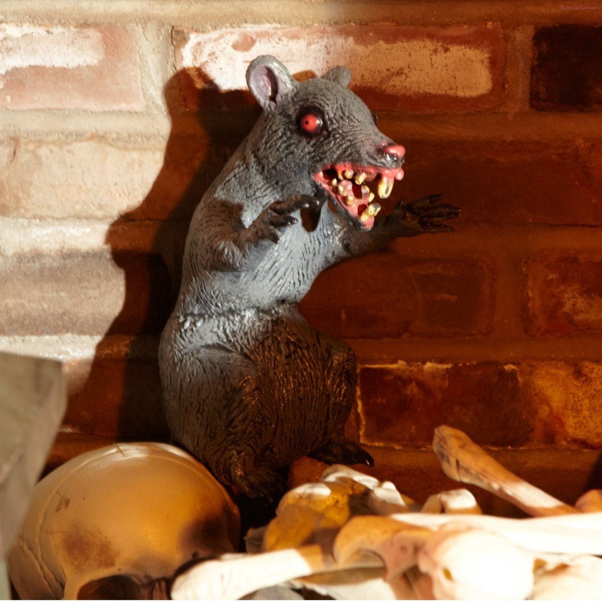 Ручная крыса