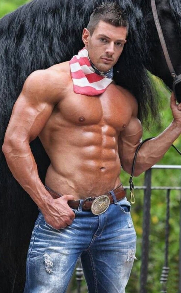 Самая мускулистая лошадь