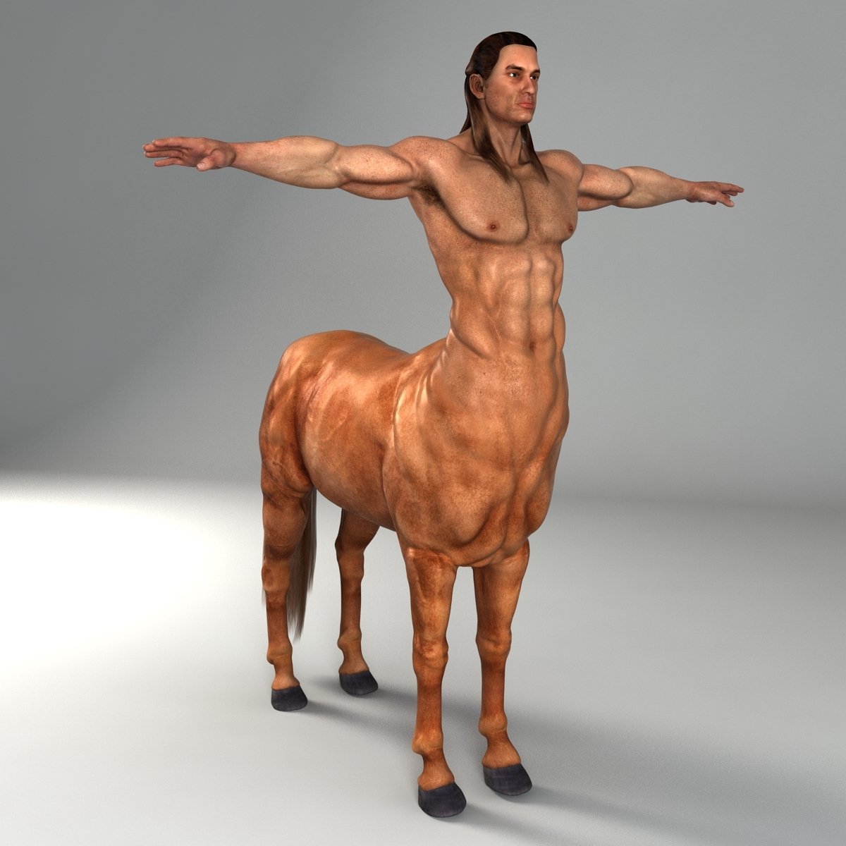 Лошадиное копыто