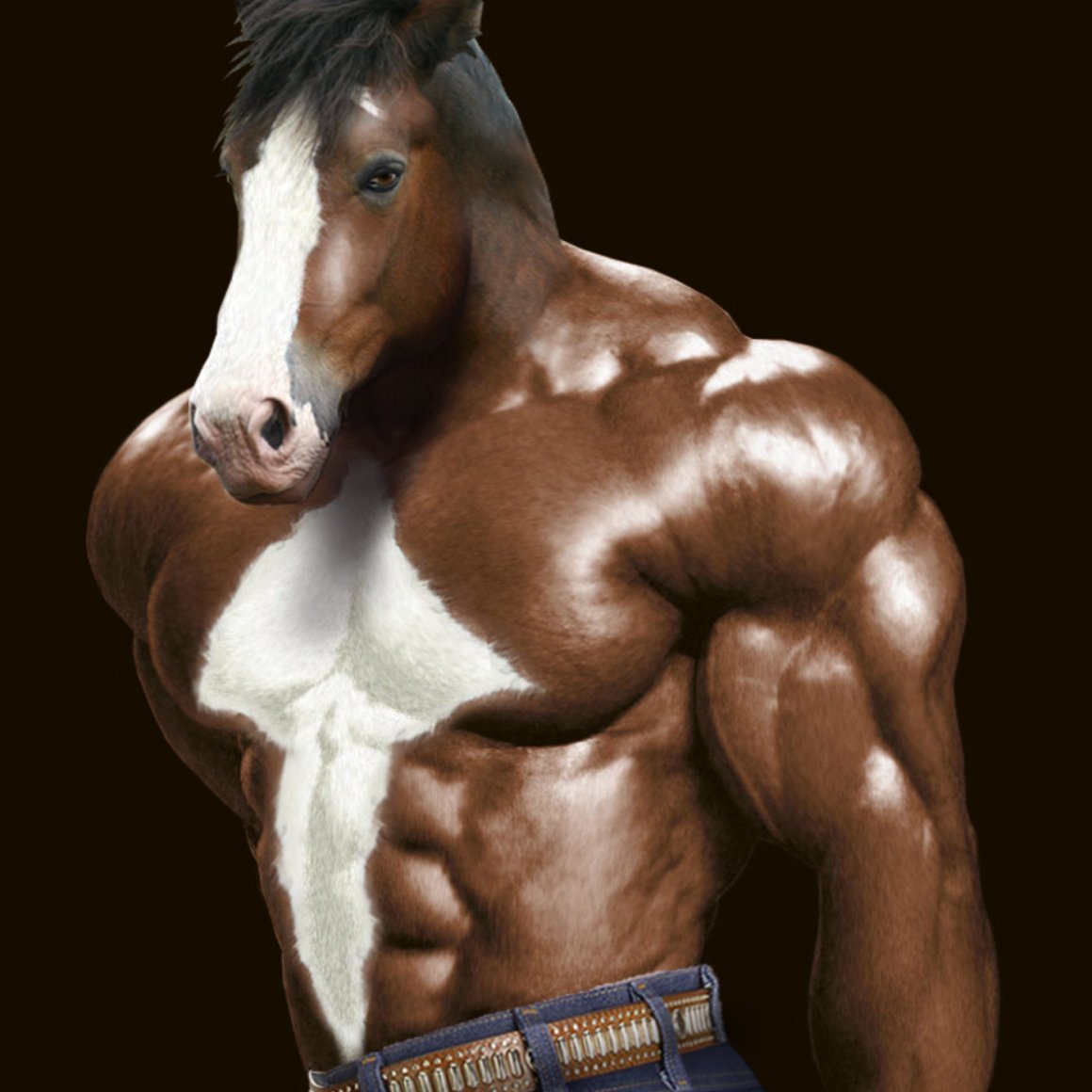 Красивые накаченные лошади