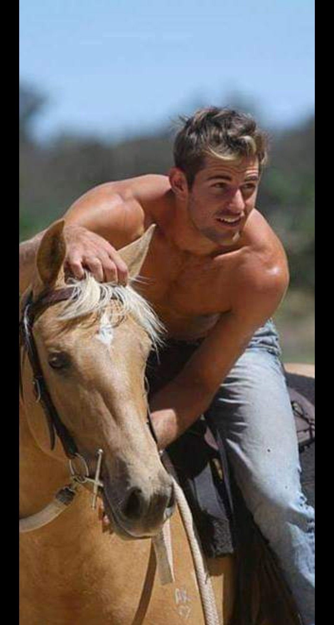 Macho men лошадь