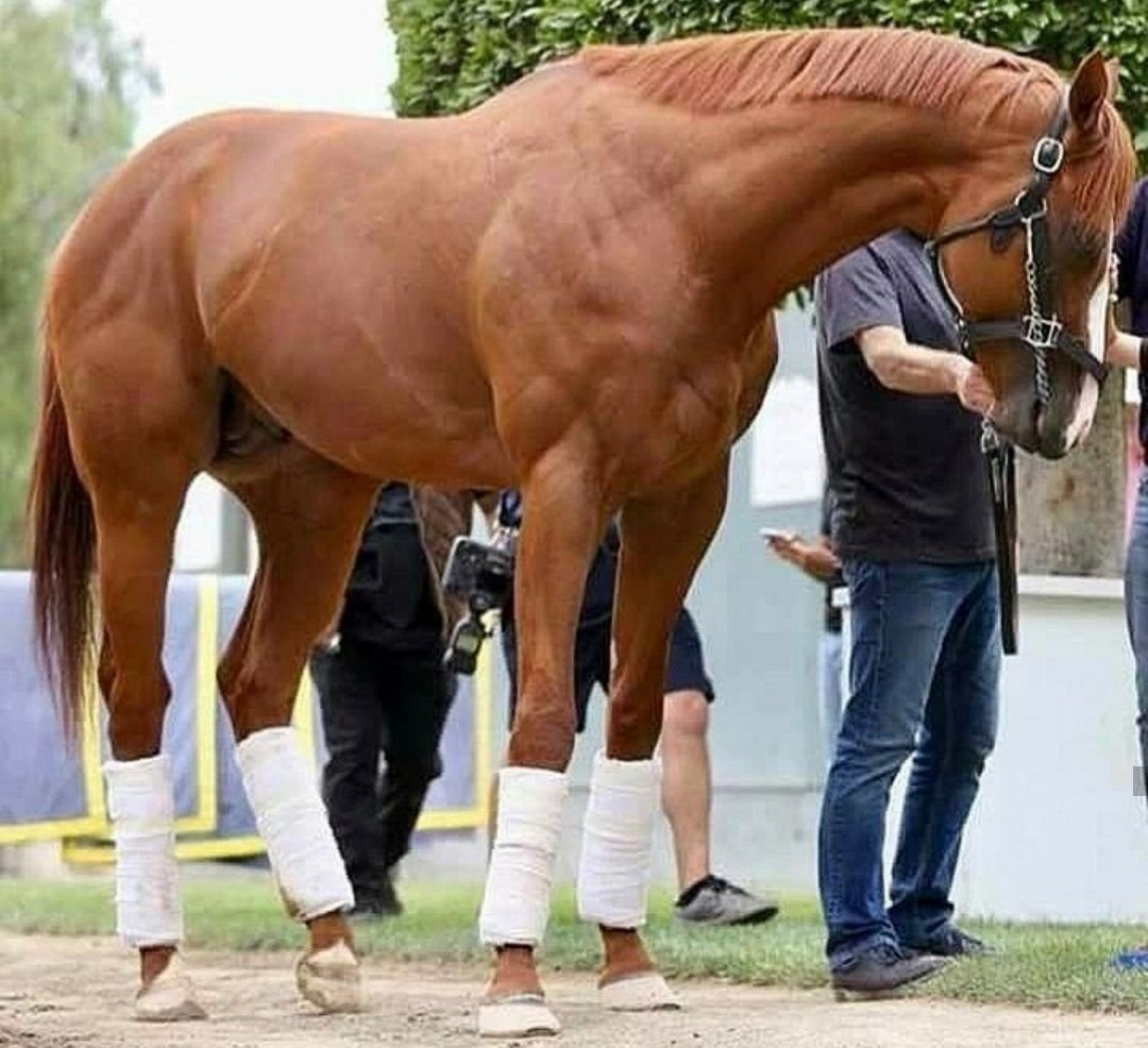 Конь мускулистый скульптор