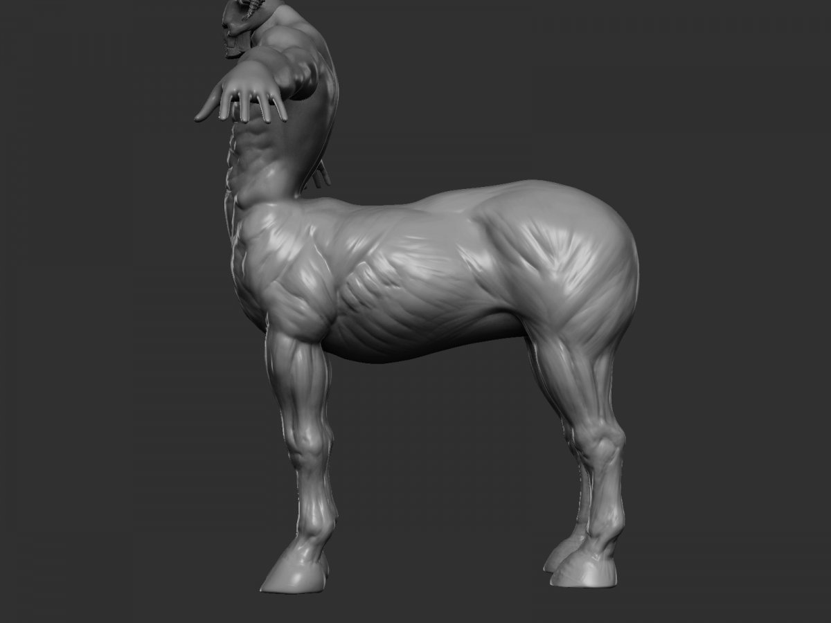 Лошадь породы Наррагансетт