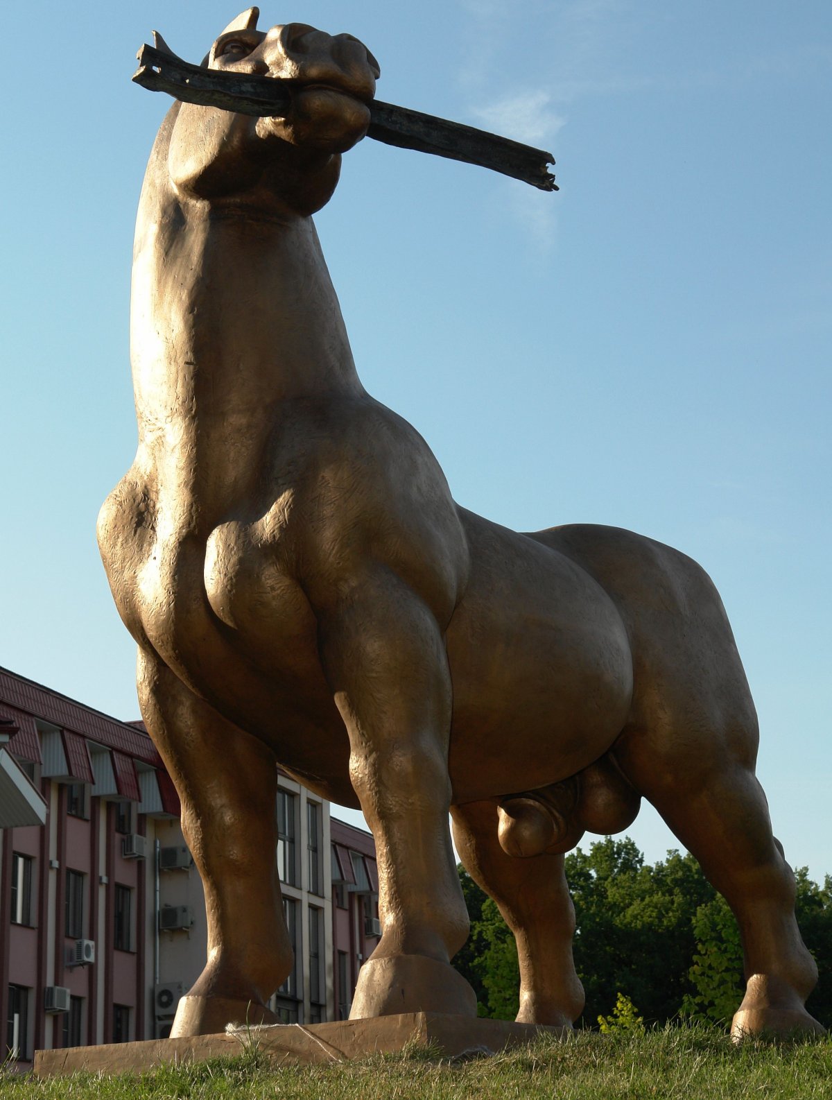 Мускулистая порода лошадей