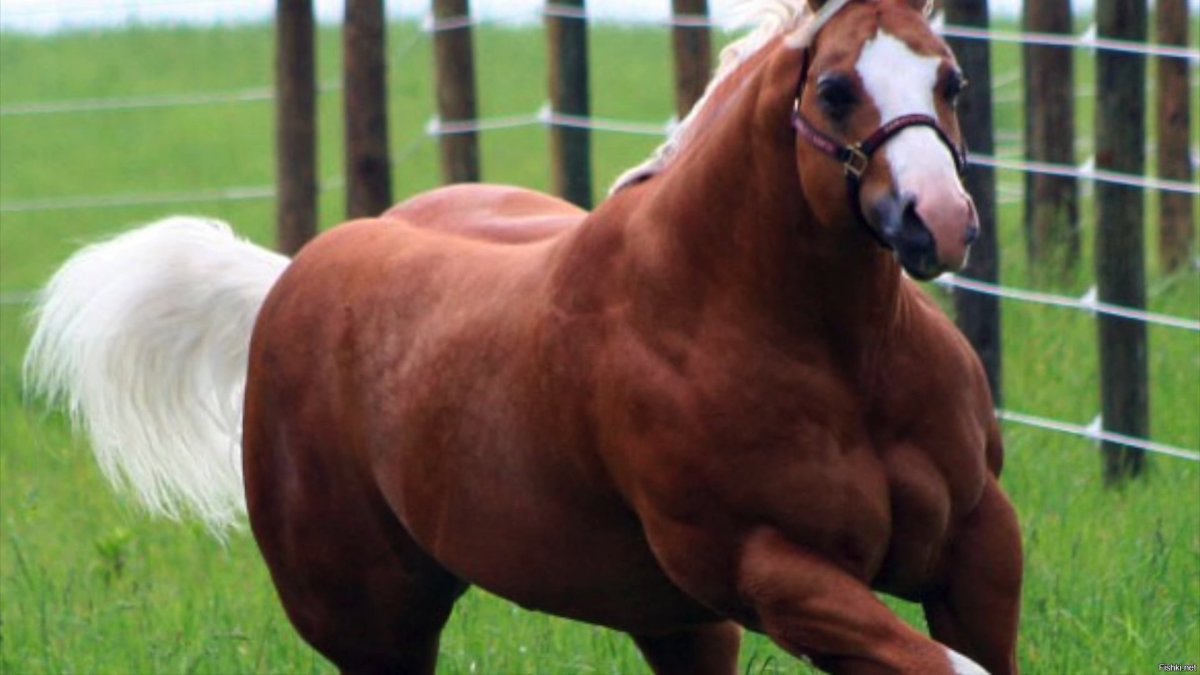 Большая скульптура лошади