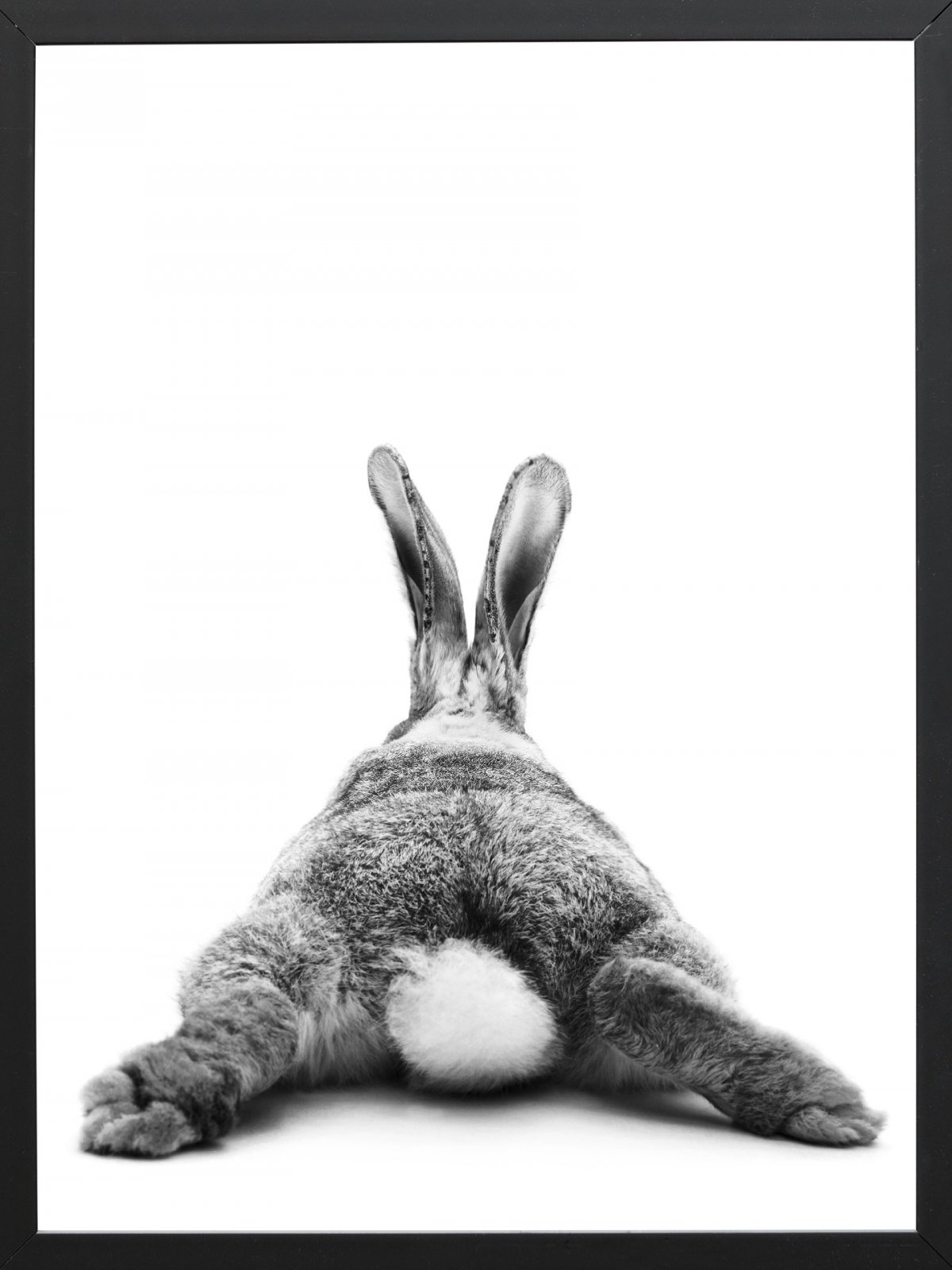 Международный день кролика