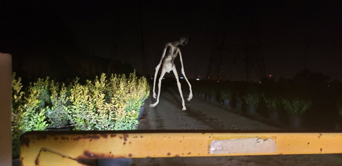 Тревор Хендерсон long Horse