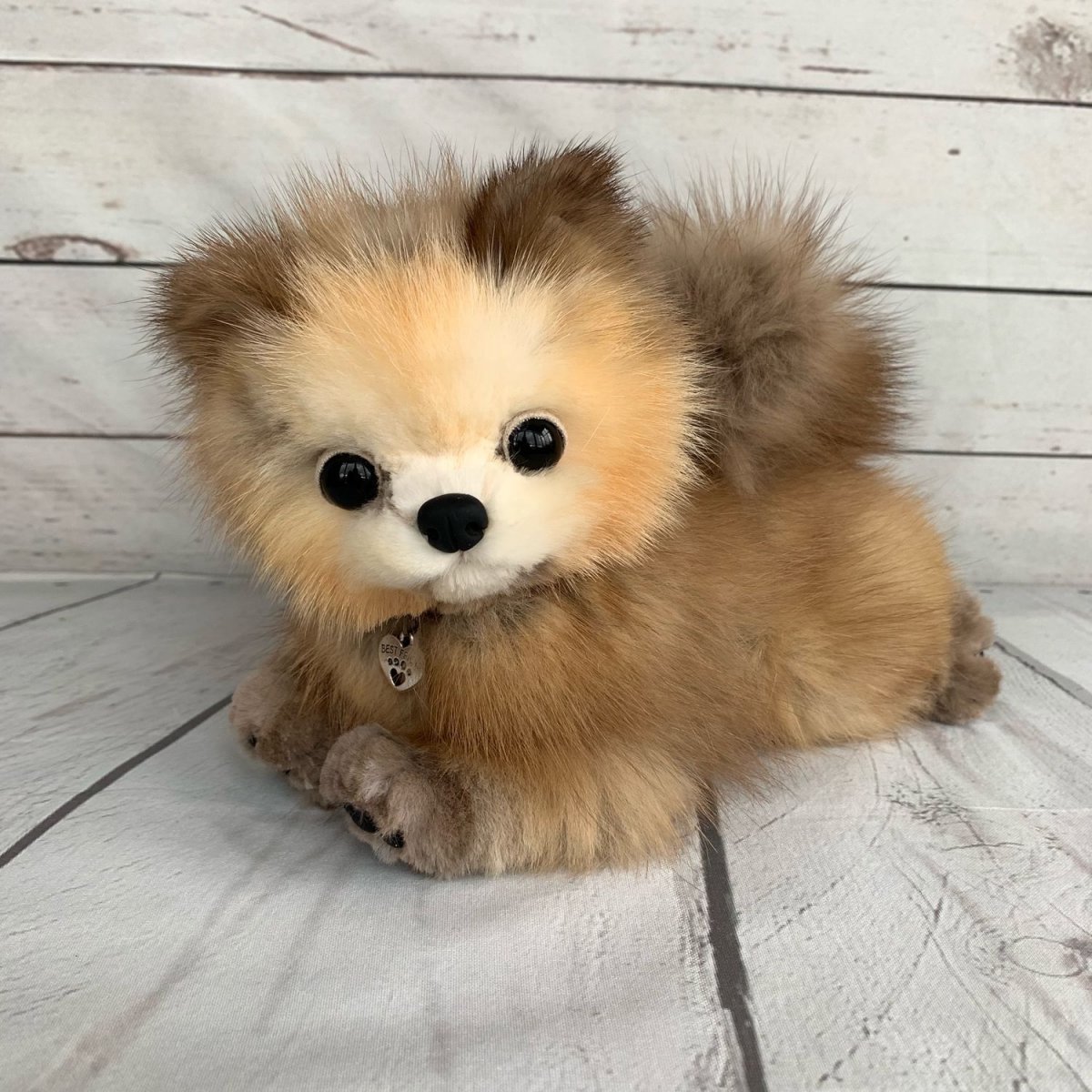 Шпиц померанский карликовый