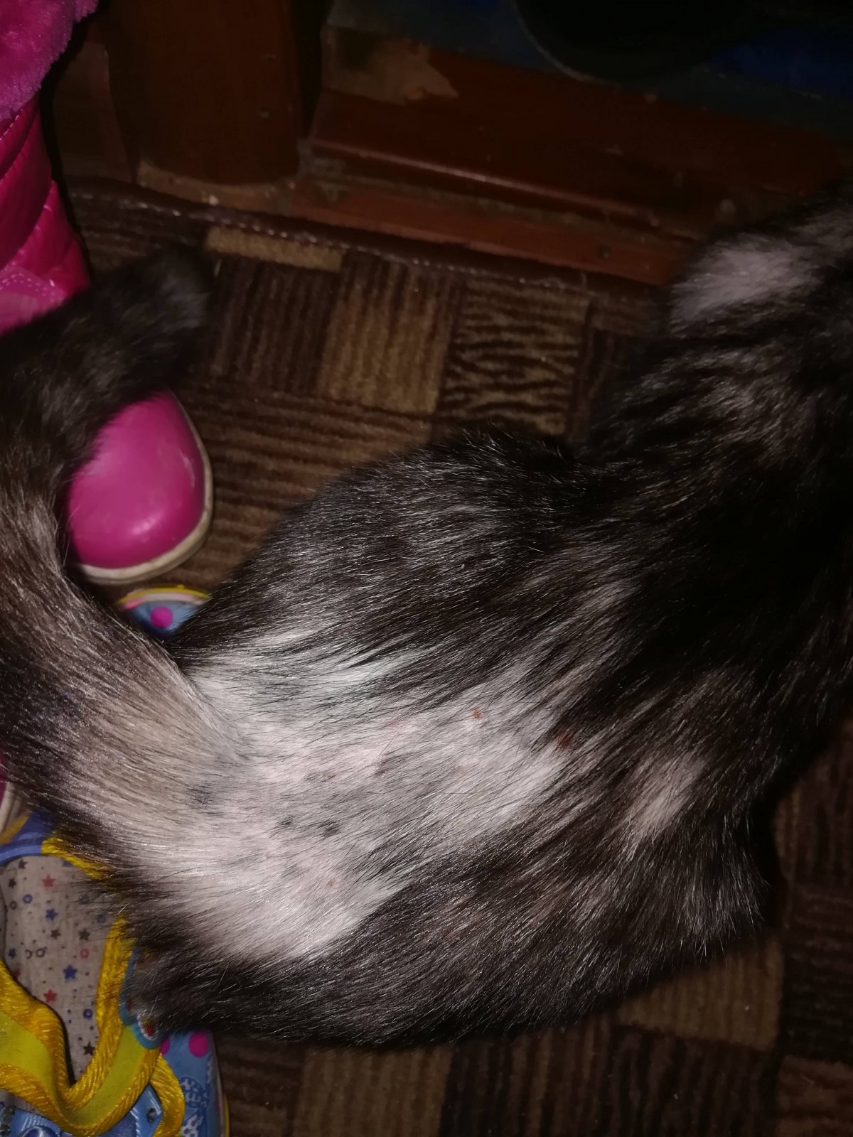 Волосы источник гордости