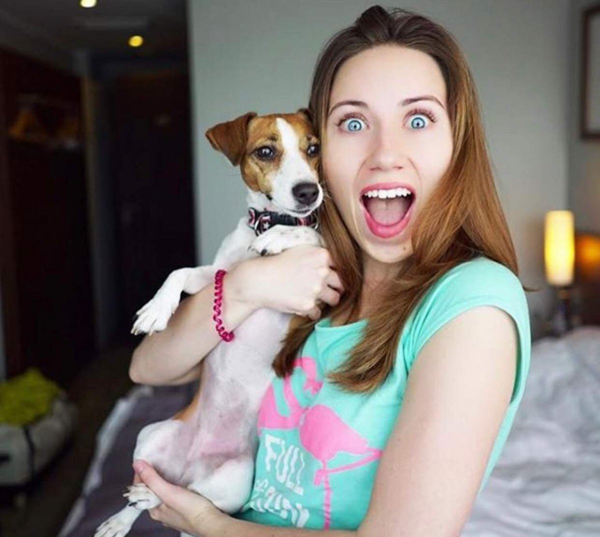 Джек Рассел терьер Элли ди