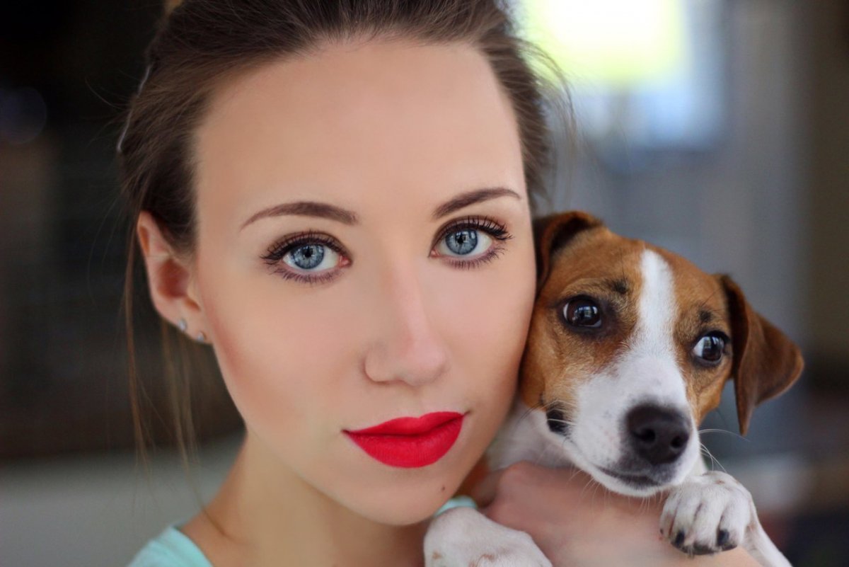 Собаки из пинтереста