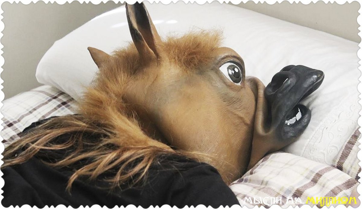 Уставшая лошадь