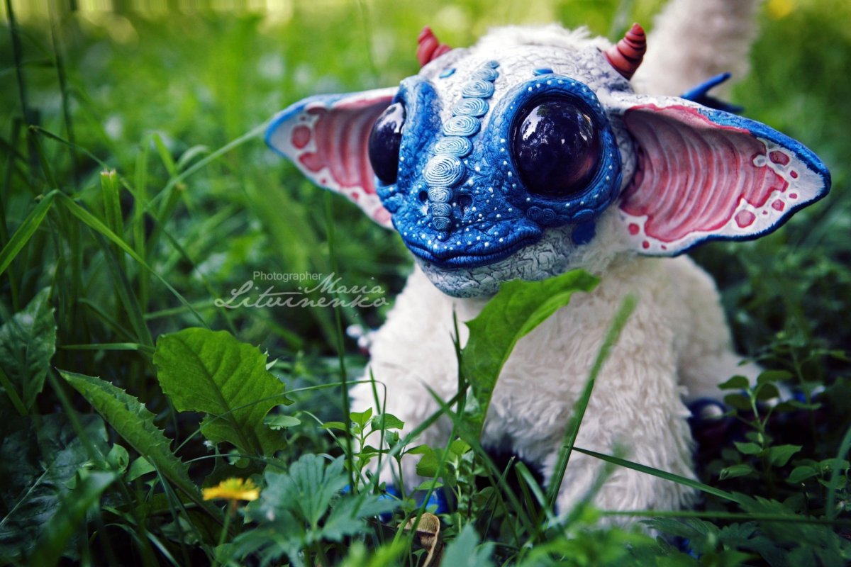 Необычные милые животные