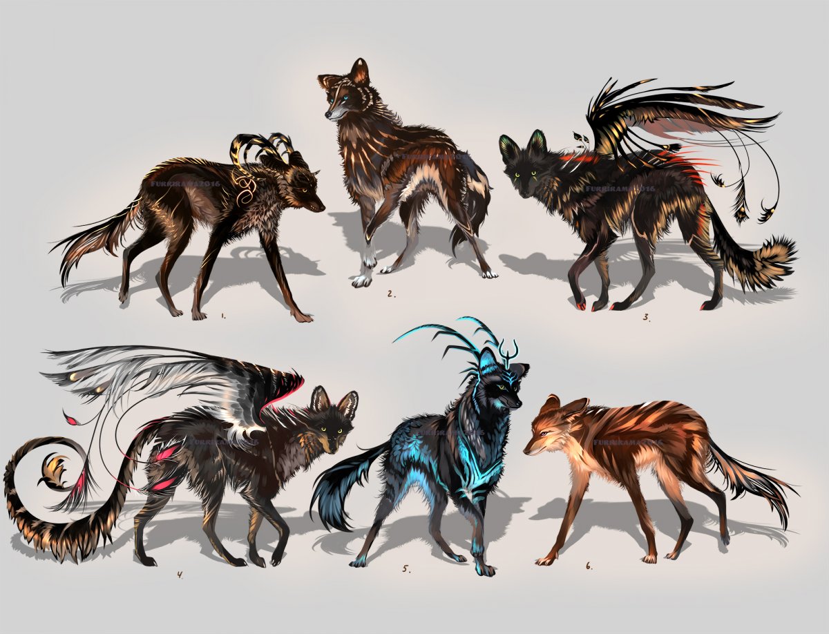 Окрасы Волков адопты