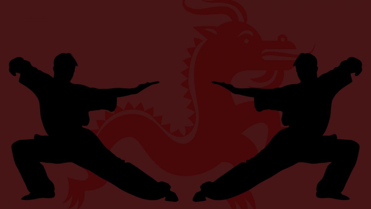 Каратист киокушинкай