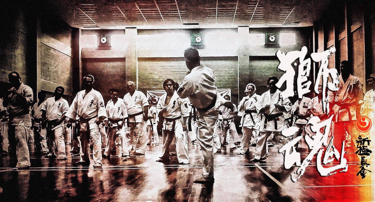 Каратэ Рю стрит Файтер