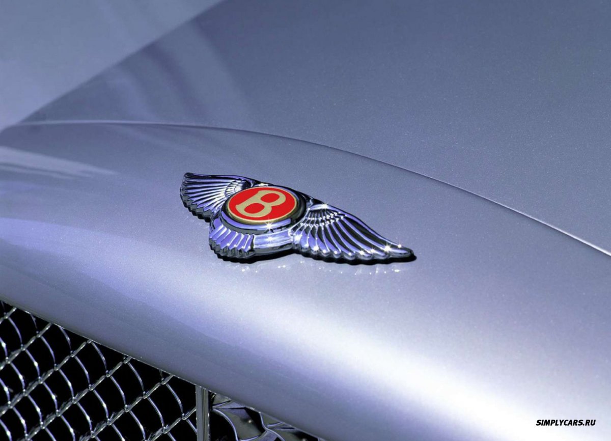 Марка машины с крыльями