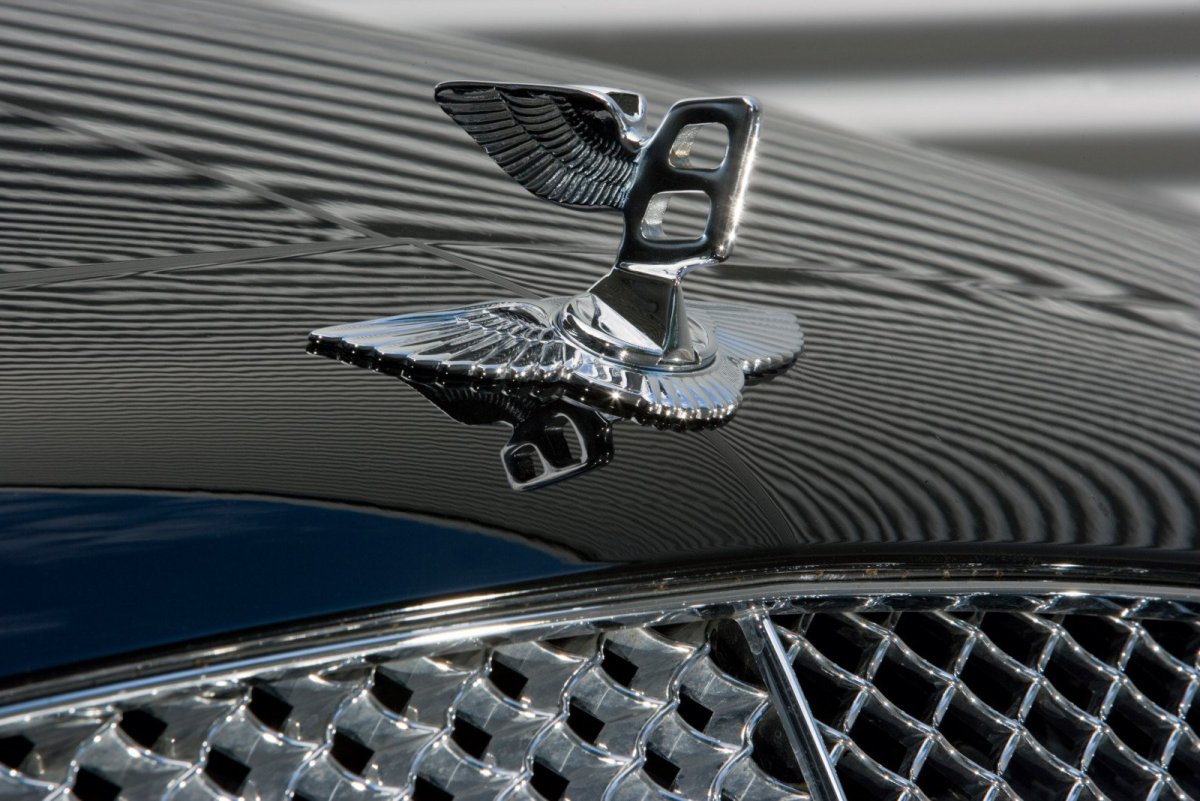 Крыло автомобиля