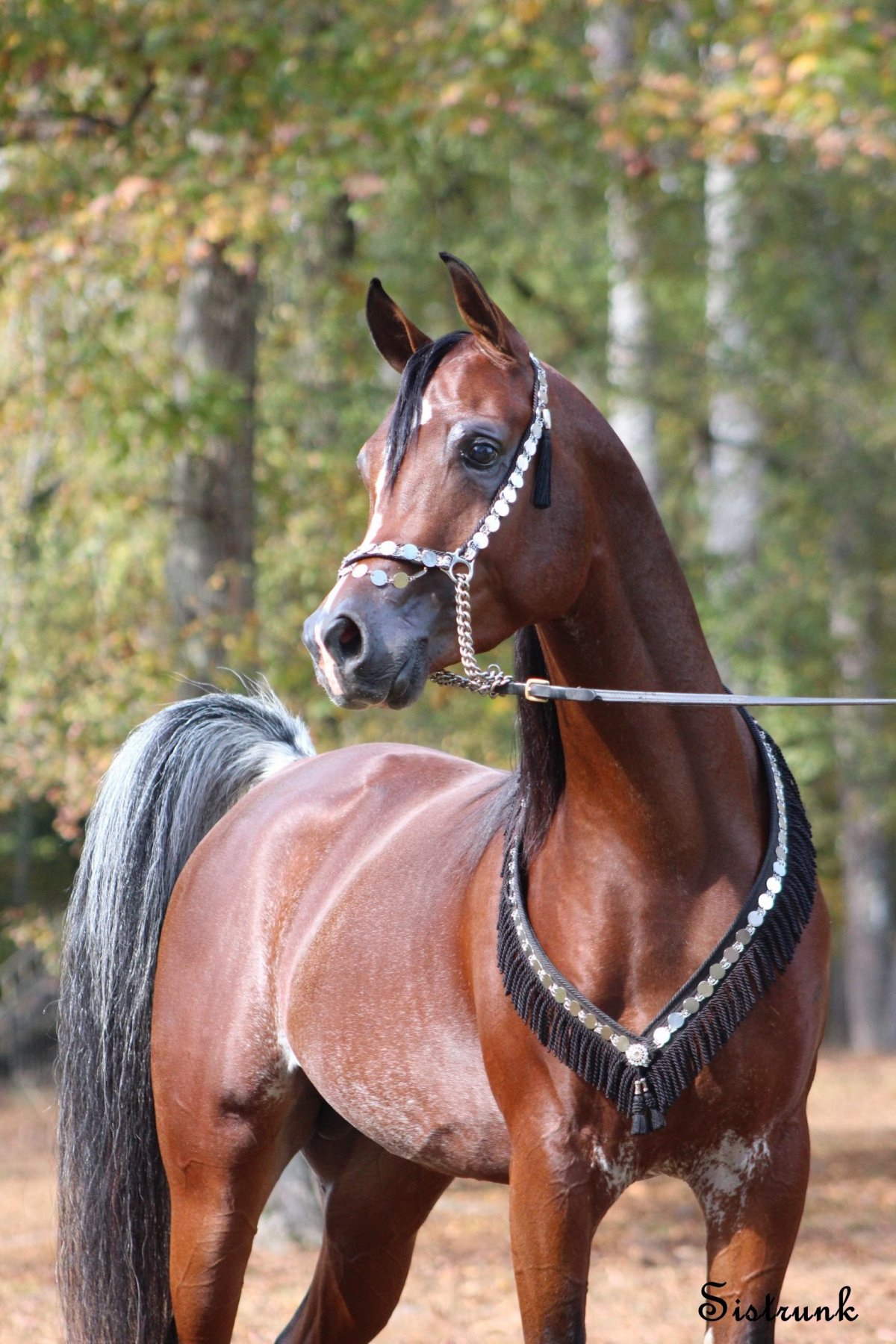 Долговязые игрушки