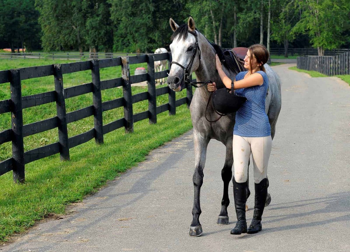 Тревор Хендерсон long Horse игрушка