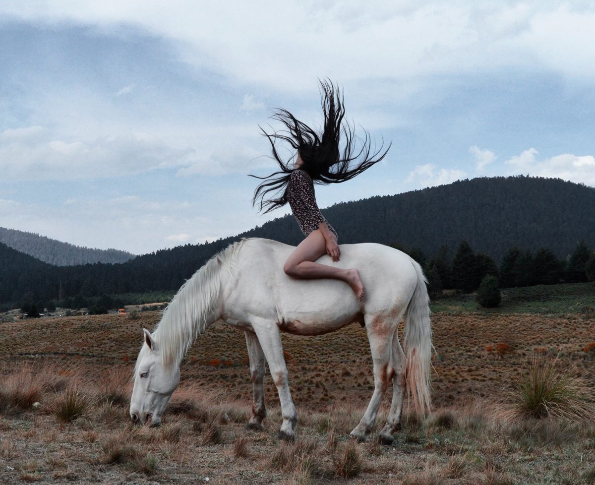 Долговязая лошадь