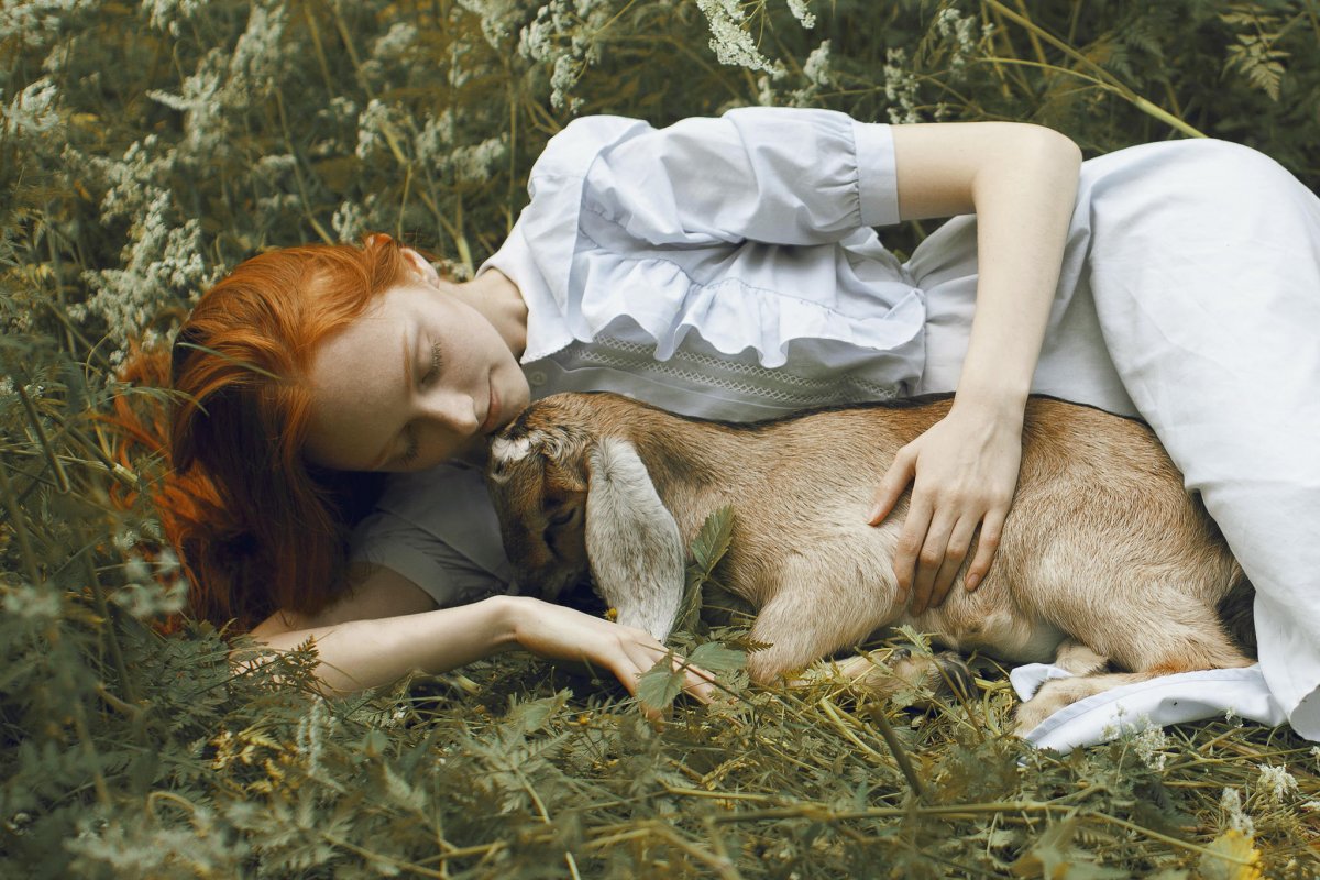 Животные и женщины