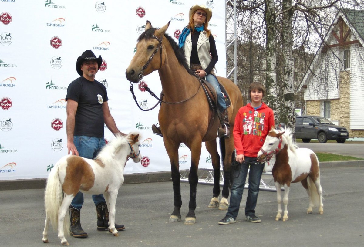 Пони Фалабелла рост