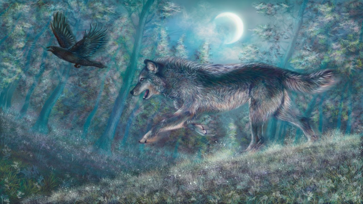 Волк для детей