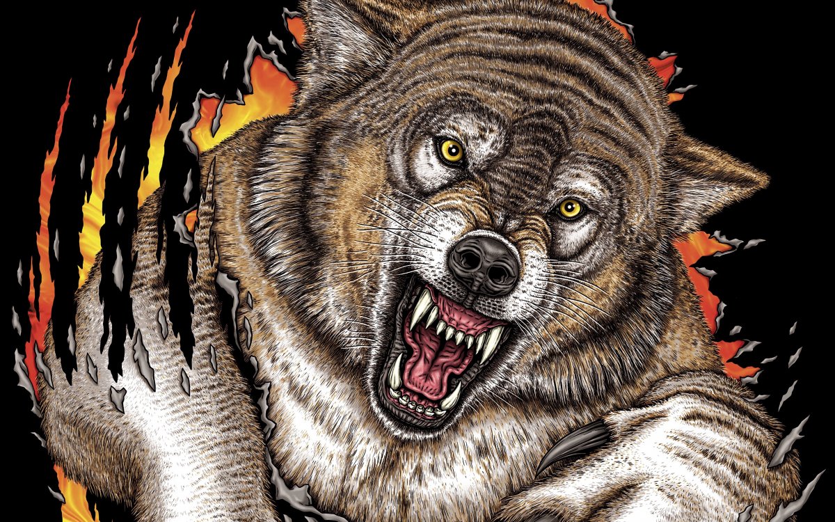 Обои на телефон воющий волк