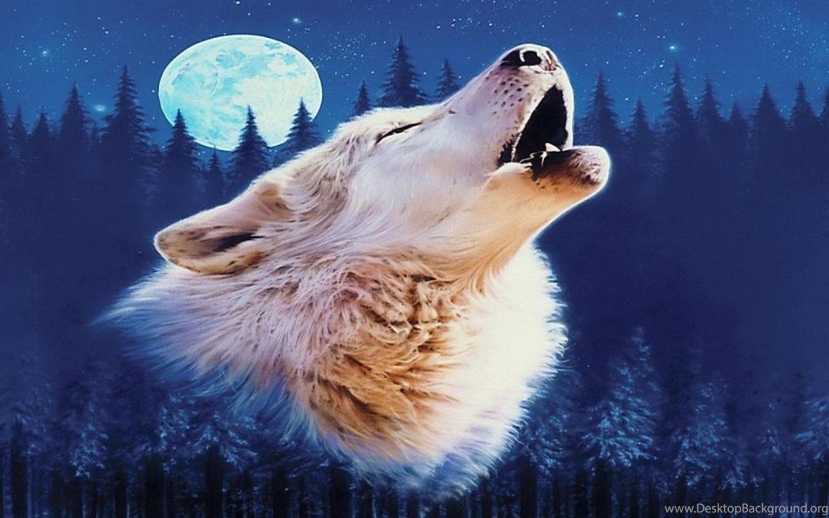 Огромный белый волк арт