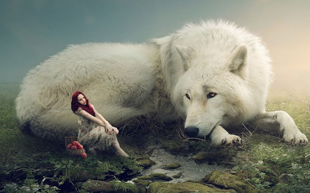 Борьба двух Волков