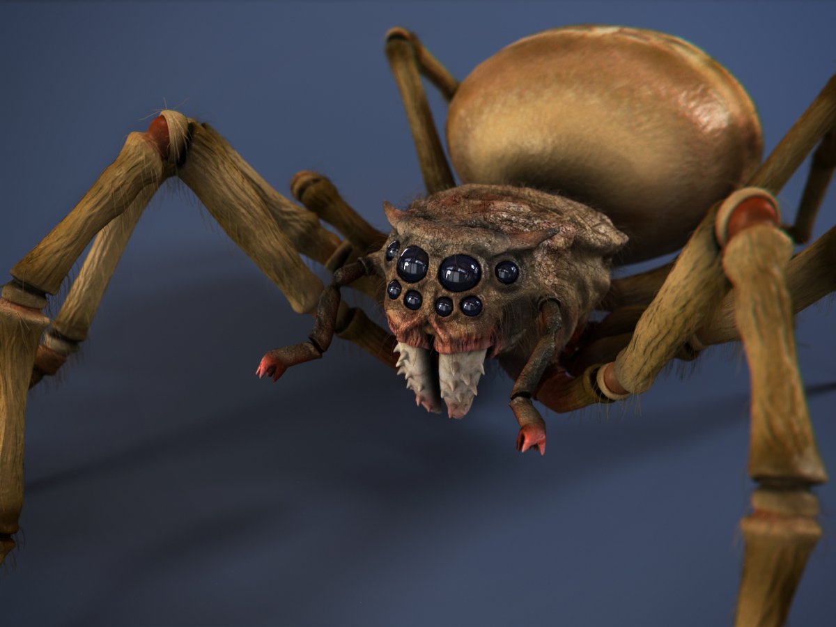 Гарри Поттер паук Арагог