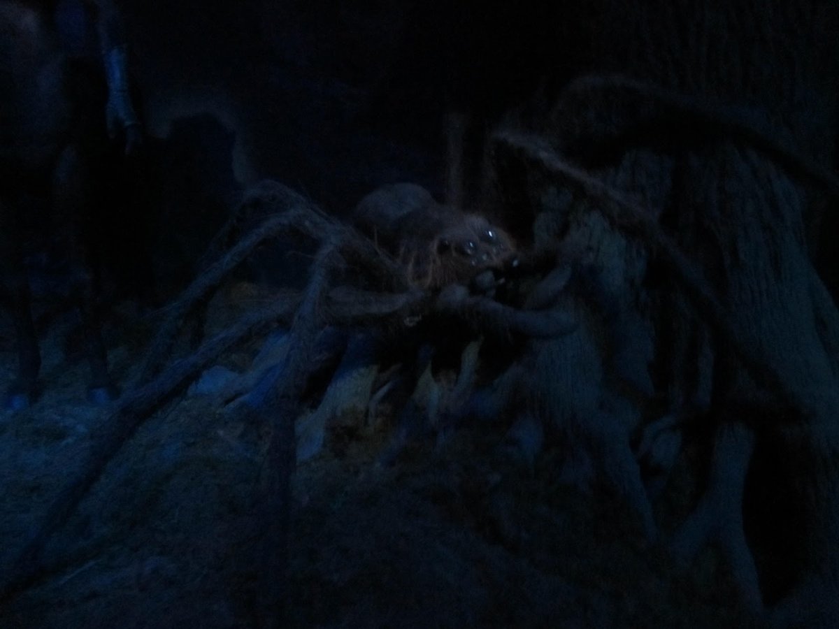 Паук из Гарри Поттера Арагог