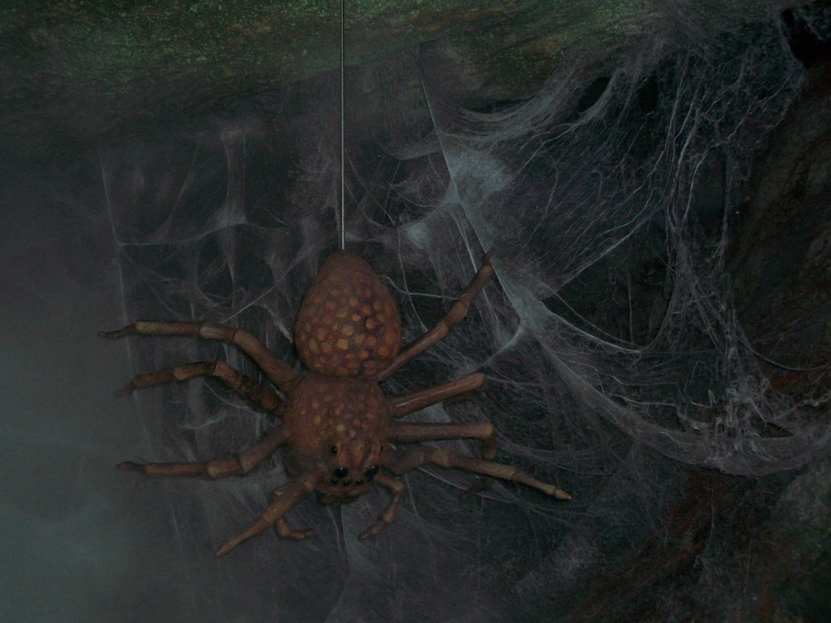 Арагог Гарри Поттер