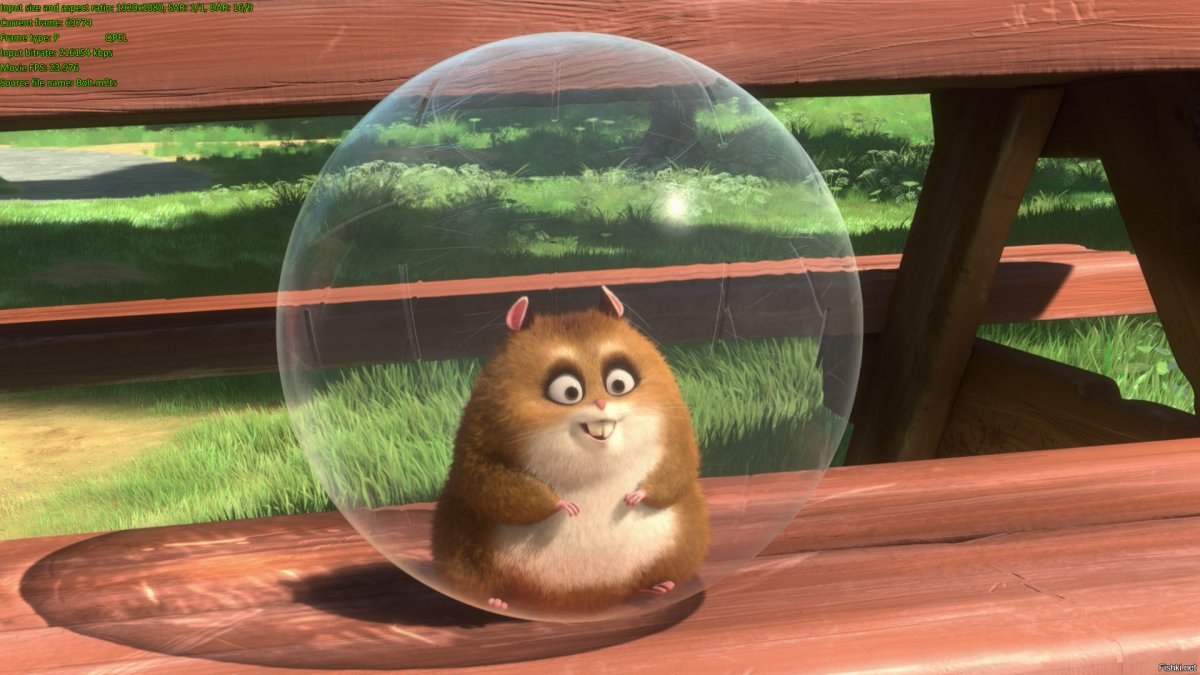 Хомяк Рино из вольта