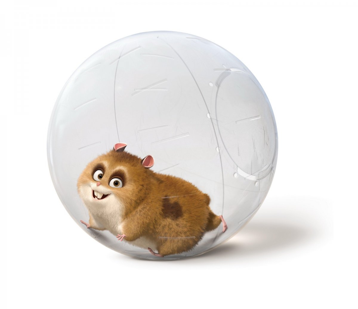 Вольт хомяк в шаре